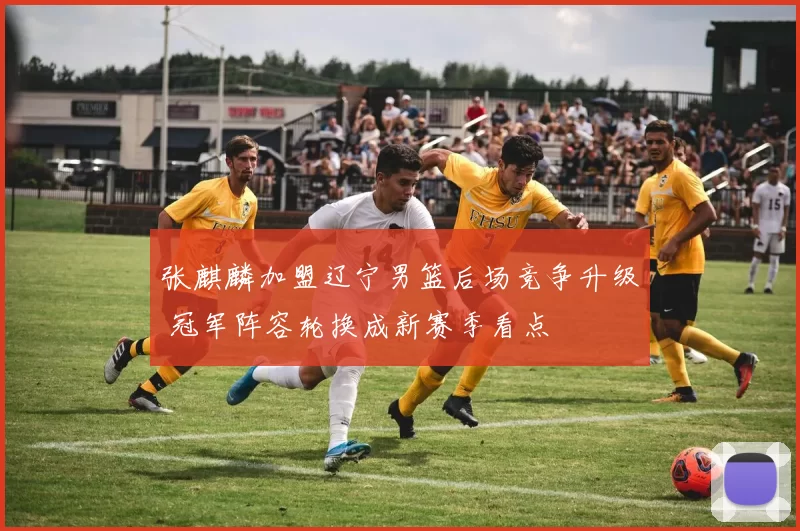 张麒麟加盟辽宁男篮后场竞争升级 冠军阵容轮换成新赛季看点