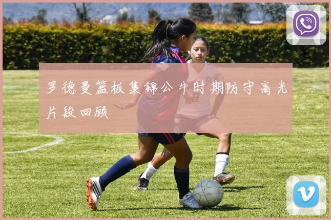 罗德曼篮板集锦公牛时期防守高光片段回顾