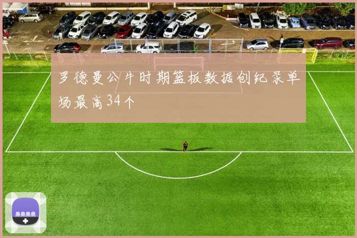 罗德曼公牛时期篮板数据创纪录单场最高34个