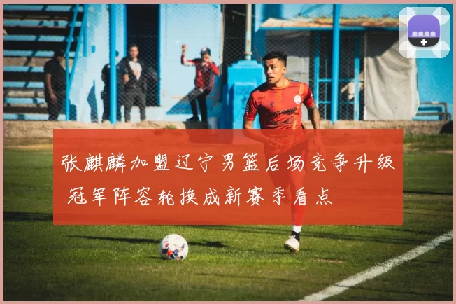 张麒麟加盟辽宁男篮后场竞争升级 冠军阵容轮换成新赛季看点