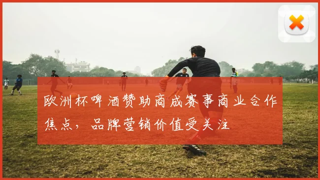 欧洲杯啤酒赞助商成赛事商业合作焦点，品牌营销价值受关注